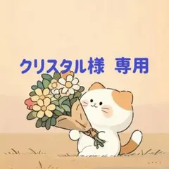 クリスタル様　専用(9/16迄)