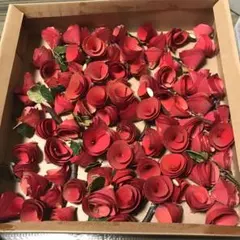 Item thumbnail for item 93cdc0bf-6ad1-44d1-8c1c-11a9592bb778