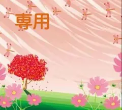 はるりんこさま専用