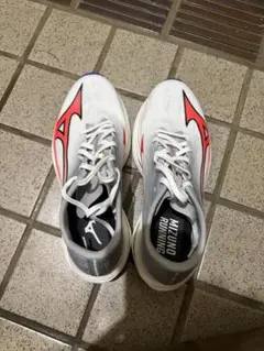 Item thumbnail for item f936b165-2b46-4477-842e-d84d58bb03c4