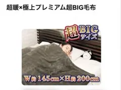 【新品】超暖×極上プレミアム超BIG毛布 ブランケット