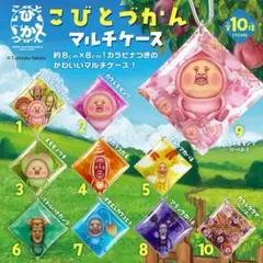 こびとづかん マルチケース カクレケダマのサムネイル