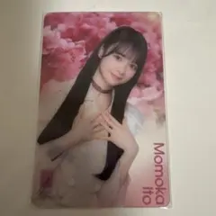 2026年最新】名残り桜の人気アイテム - メルカリ