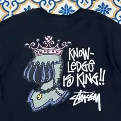 希少！STUSSY グラフィックTシャツ ブラック
