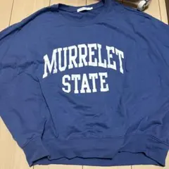 Item thumbnail for item 1287f095-b14c-4946-83be-9e3db0fb9462