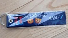 ANA HIJOKA 40周年 限定フライトタグのサムネイル