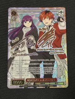 ヴァイスシュヴァルツ WS 歩幅を合わせてフェルン&シュタルク SSP