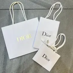 Dior ディオール 紙袋 ショッパー