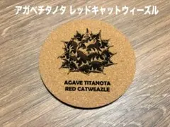 アガベ チタノタ レッドキャットウィーズル コルクコースター