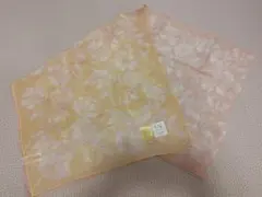 Item thumbnail for item 5dc9ae1a-73c9-4b31-b1f1-d6805cca42a3