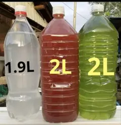 ee45019様 リクエスト 2点 まとめ商品