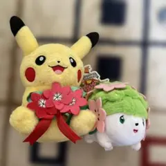 とりかえっこぬいぐるみピカチュウ&チコリータポケモンセンター