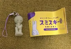 2026年最新】スミスキーシークレットの人気アイテム - メルカリ