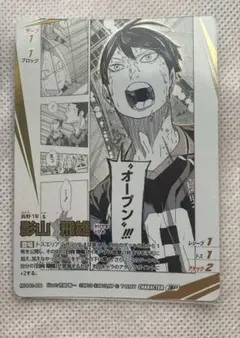 ハイキュー バボカ ゴミ捨て場の決戦 影山飛雄 サイン - メルカリ