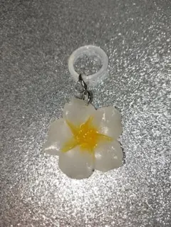 レジン ハイビスカス