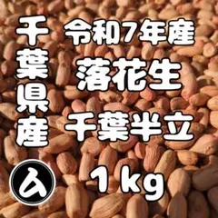 椿　千葉県産 おおまさり 手むき 乾燥生落花生 椿様専用 千葉県産 おおまさり 手むき 乾燥生落花生 【公式通販】