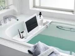 Item thumbnail for item fd775358-37e7-47aa-ad12-1fdf612bed89