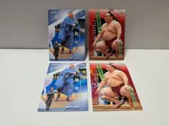 Item thumbnail for item 1774d462-551e-494c-b299-0b0e76db0781