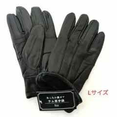 Item thumbnail for item f63902d6-06e5-4eee-8c51-fbb080b5ebbd