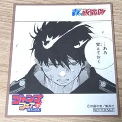 新テニスの王子様 ジャンプSQ 特別付録 特製JCカバー 財前光 88枚 新テニスの王子様 テニプリ ジャンプSQ 特別付録 特製JCカバー 財前光