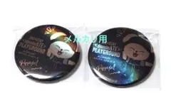 straykids PLAYGROUND ホログラム缶バッジ パピーム