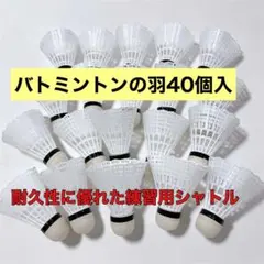 2026年最新】ノック用シャトルの人気アイテム - メルカリ