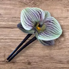 Item thumbnail for item 025dffd2-8bac-482a-8864-868e0424b750