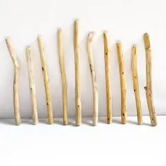 Item thumbnail for item 7da6ed97-5461-476d-939d-84800a569d94