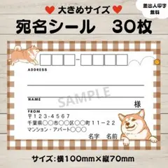 宛名シール　柴犬　犬　チェック柄　大きめサイズ　30枚