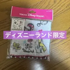 （新品）東京ディズニーリゾート アリス・イン・ワンダーランド タオル