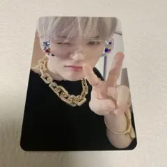 treasure ヨシ トレカ ナイトガーデン nightgarden 特典