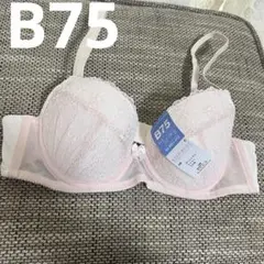 Item thumbnail for item b38a9e66-e31b-49d2-a3ba-6d55c76232b6