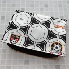 Item thumbnail for item 99d6acd1-b30b-45e8-b6a7-ae1314cb33ef