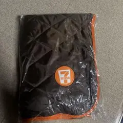 Item thumbnail for item 2390400e-04fd-4208-8f9a-fee3b869679c