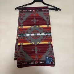 Item thumbnail for item 305f6414-20ab-4158-b944-eeec78406e36