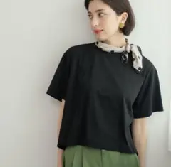 オペークドットクリップ トップス バックフレア ショートTシャツ 夏服のサムネイル