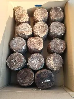 Item thumbnail for item f2fb6ddf-48df-4573-9d52-8691fc443b5b