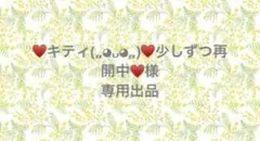⑮ ♥キティ(„◕᎑◕„)♥少しずつ再開中♥様専用出品