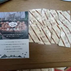 Item thumbnail for item e933cdf0-2bd5-4fd4-aef3-29c639508499