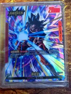 2026年最新】フュージョンワールドリーダーパラレルの人気アイテム