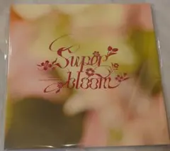 【新品未開封品】あんスタ スタフォニ 特典 別冊パンフレット