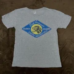 Item thumbnail for item 92cfe90a-86fa-4efa-be18-fe5210c96d21