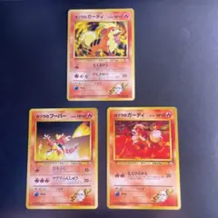 旧裏　ポケモンカード　カツラのガーディ　カツラのブーバー