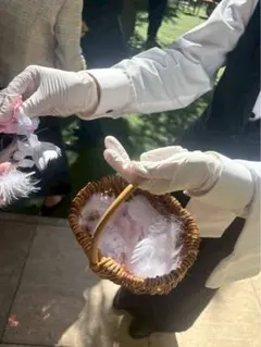 Item thumbnail for item 0aba9c45-ecf6-4254-acce-e97f0174d88d