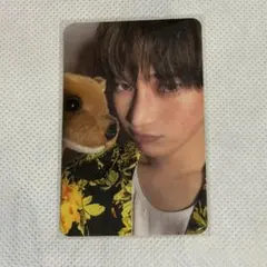 ENHYPEN ソヌ トレカDESIRE:UNLEASH