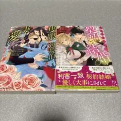 TL小説　2冊セット