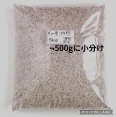 Item thumbnail for item e9c4745f-1fb5-4fb3-a246-82eff492757f