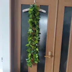 Item thumbnail for item fb291c09-8fb0-4a26-b8ee-6c22620f0304