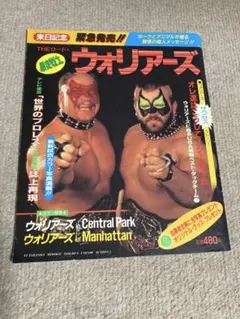 早い者勝ち！【未開封】ザ・ロードウォーリアーズ　フィギュア 早い者勝ち！【未開封】ザ・ロードウォーリアーズ フィギュア 早い者