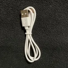 USB Type-C 充電ケーブル ホワイト